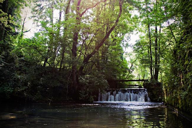 Gites La Forge De Sainte Marie Thonnance-les-Moulins Bagian luar foto